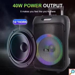 Φορητό Bluetooth Ηχείο Karaoke με 2 Μικρόφωνα, Τηλεχειριστήριο & LED Φωτισμό