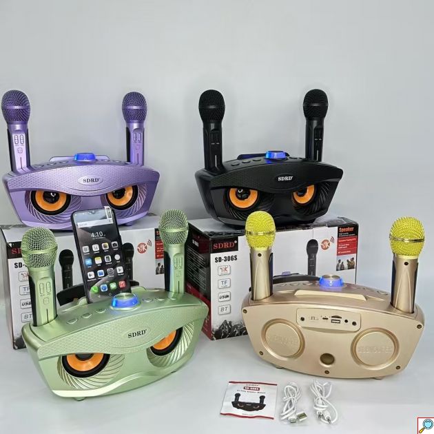 Φορητό Ηχοσύστημα Bluetooth USB,SD Karaoke Με 2 Μικρόφωνα Mp3 Player - Multimedia Speaker