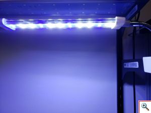 Φωτιστικό LED Ενυδρείου με Ιδανικό Φως Ημέρας 6800K -10W - Deebow Dee-D8