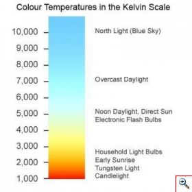 Επαγγελματικό Φωτογραφικό Φωτιστικό Δαχτυλίδι LED 26cm με 2 x Τρίποδο Flexible, 3 Χρώματα Φωτισμού, Dimmer & Βάση Στήριξης Κινητού - Ring Light Lamp