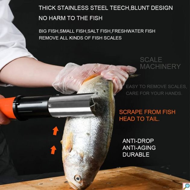Inox Επαγγελματικός Ηλεκτρικός Φορητός Απολεπιστής Ψαριών 2 Ταχυτήτων Μπαταρίας 6000RPM Επαναφορτιζόμενος Ανοξείδωτος - Electric Fish Scraping 12V