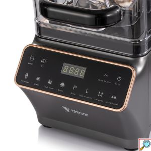 RAF 2 σε 1 Ηλεκτρικός Ανοξείδωτος Αποχυμωτής & Μπλέντερ 1200W με Δοχείο 2L Ασημί/Μαύρο