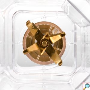 RAF 2 σε 1 Ηλεκτρικός Ανοξείδωτος Αποχυμωτής & Μπλέντερ 1200W με Δοχείο 2L Ασημί/Μαύρο