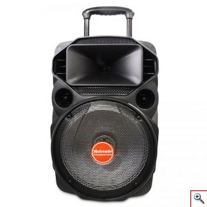 Μεγάλο Φορητό Ηχείο 140W 12