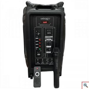 Μεγάλο Φορητό Ηχείο 140W 12