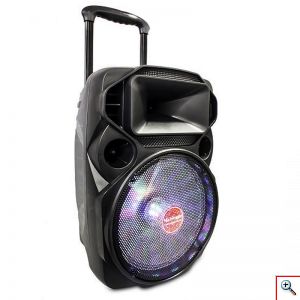 Μεγάλο Φορητό Ηχείο 140W 12