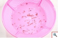 Μίνι Φωτιστικό Εντομοπαγίδα USB με Σύστημα Αναρρόφησης