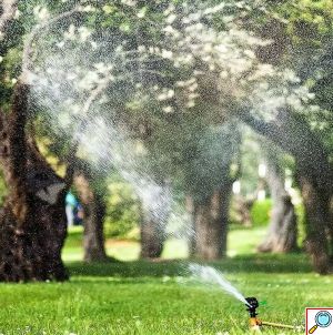 Μπεκ - Εκτοξευτήρας Νερού με Σπείρωμα 1/2 Ιντσών - 12,2 x 2 cm