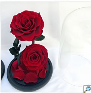 Παντοτινά Τριαντάφυλλα σε Γυάλινο Θόλο 25x17cm με Τσάντα Δώρου