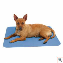Δροσιστικό Χαλάκι για Κατοικίδια - Pet Cooling Mat 