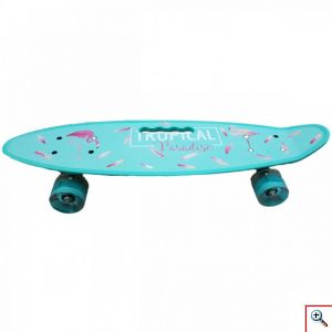 Penny Board Skateboard 22