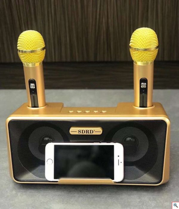 Φορητό Ηχοσύστημα Bluetooth USB/SD Karaoke Με 2 Μικρόφωνα Mp3 Player - Multimedia Speaker SD-301