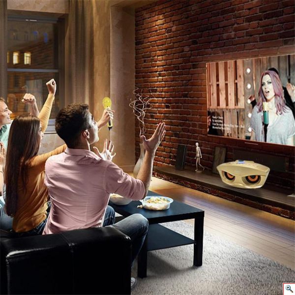 Φορητό Ηχοσύστημα Bluetooth USB/SD Karaoke Με 2 Μικρόφωνα Mp3 Player - Multimedia Speaker SD-306