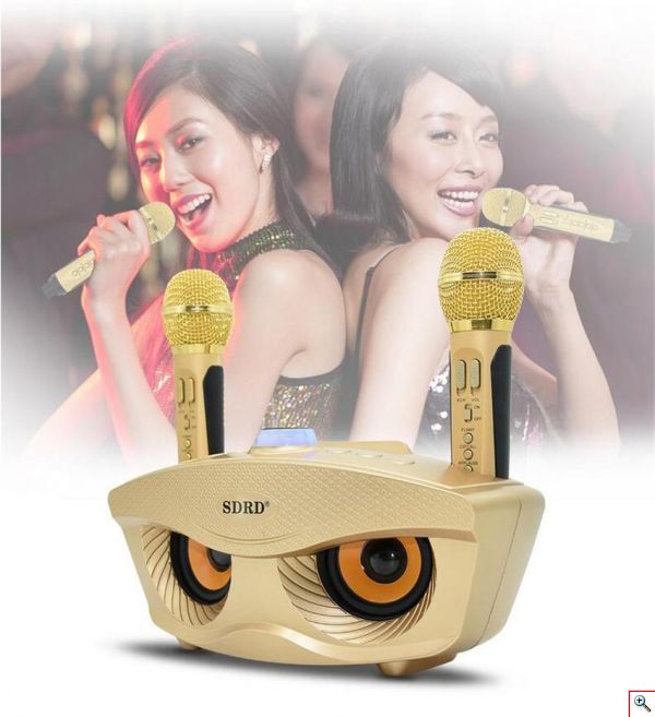 Φορητό Ηχοσύστημα Bluetooth USB/SD Karaoke Με 2 Μικρόφωνα Mp3 Player - Multimedia Speaker SD-306