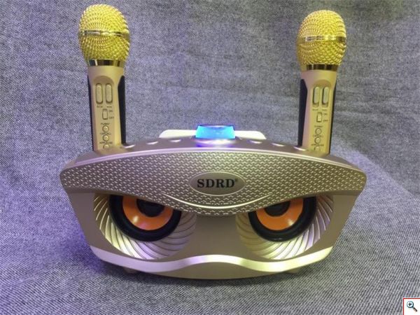 Φορητό Ηχοσύστημα Bluetooth USB/SD Karaoke Με 2 Μικρόφωνα Mp3 Player - Multimedia Speaker SD-306
