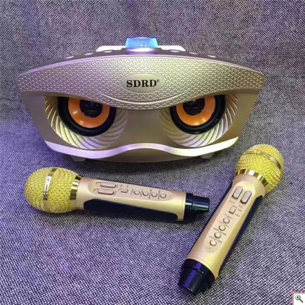 Φορητό Ηχοσύστημα Bluetooth USB/SD Karaoke Με 2 Μικρόφωνα Mp3 Player - Multimedia Speaker SD-306