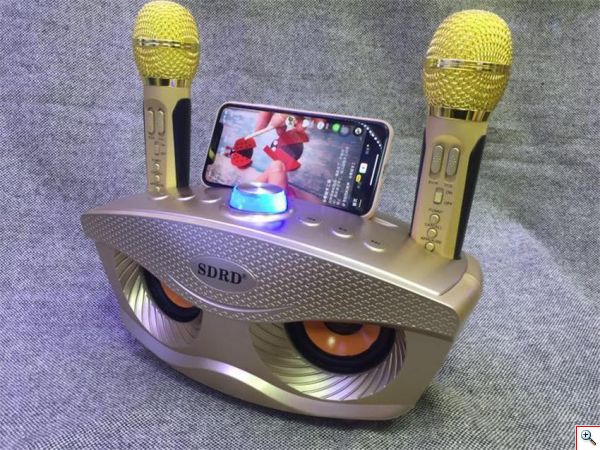 Φορητό Ηχοσύστημα Bluetooth USB/SD Karaoke Με 2 Μικρόφωνα Mp3 Player - Multimedia Speaker SD-306