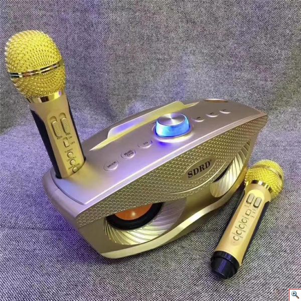 Φορητό Ηχοσύστημα Bluetooth USB/SD Karaoke Με 2 Μικρόφωνα Mp3 Player - Multimedia Speaker SD-306