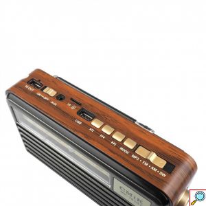 Ηλιακό Φορητό Ηχείο Bluetooth με Ραδιόφωνο, Ηλιακό Πάνελ και Φωτιστικο Led Usb