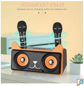 Σύστημα Karaoke με ασύρματα μικρόφωνα και SD, USB, AUX, TF μαύρο