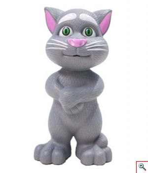 Tom Talking Cat