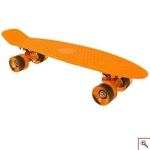 Penny Board Skateboard 22