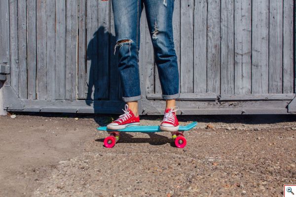 Penny Board Skateboard 22