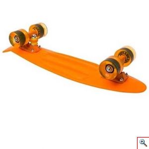 Penny Board Skateboard 22